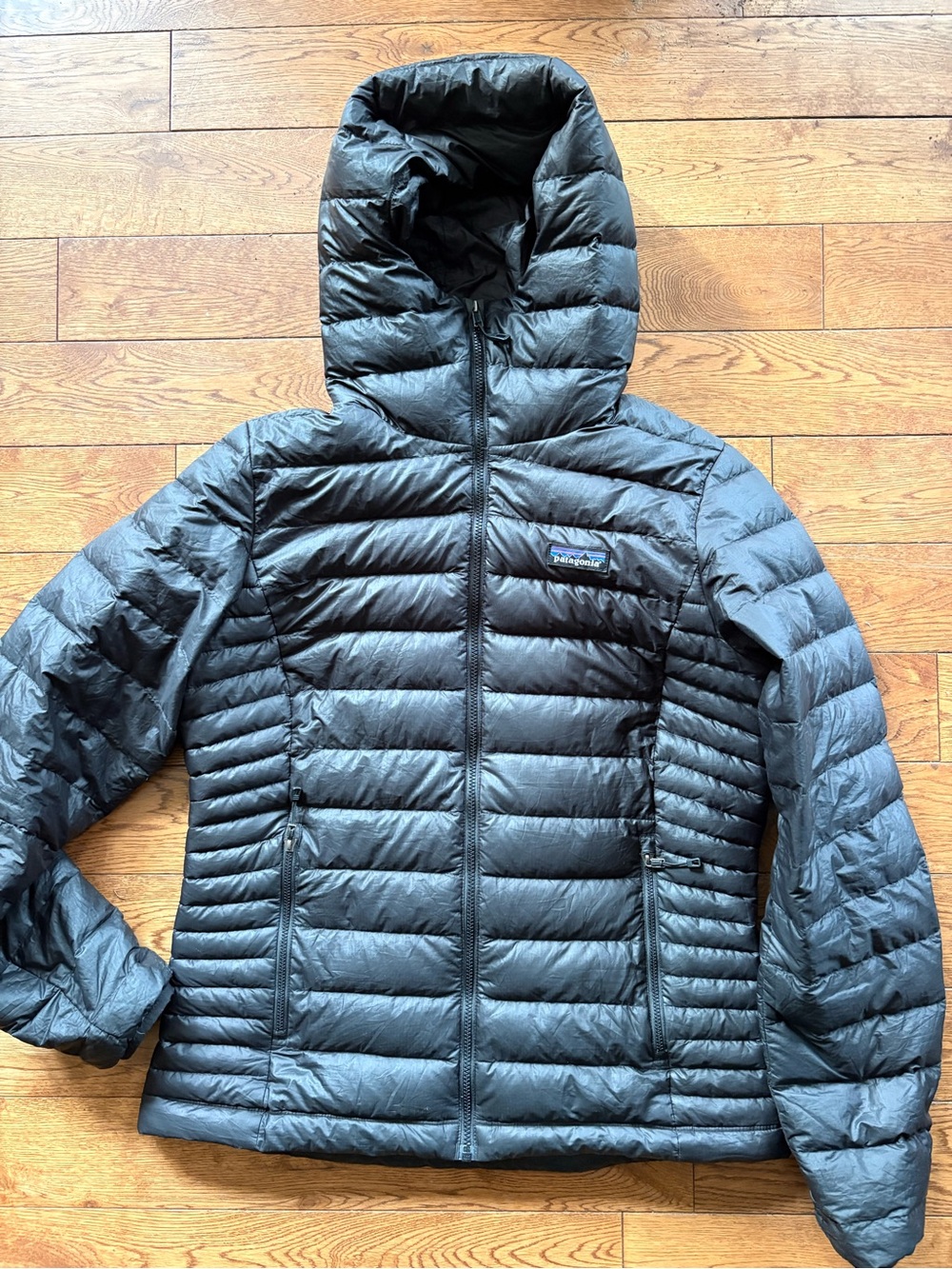 Patagonia Women's Down Hoody